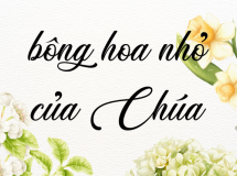 CON LÀ BÔNG HOA NHỎ