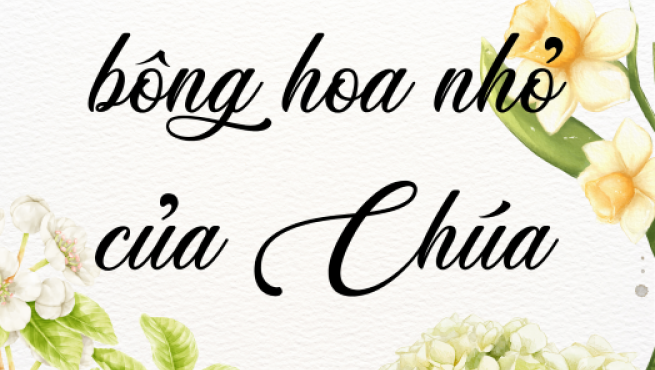 CON LÀ BÔNG HOA NHỎ